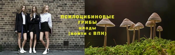 прущие грибы Балабаново