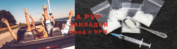 прущие грибы Балабаново