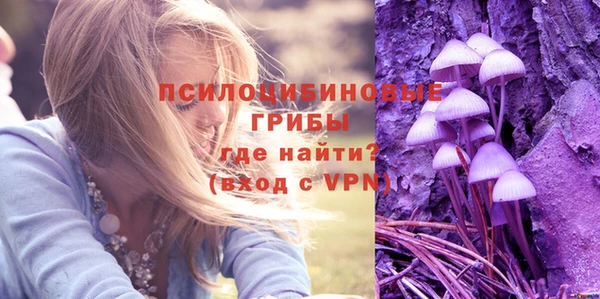 соль ск Балахна
