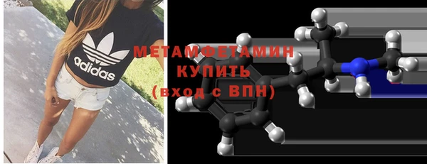 прущие грибы Балабаново