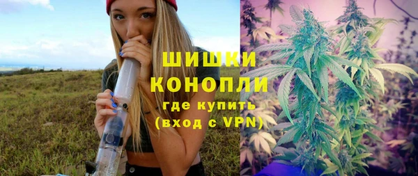 прущие грибы Балабаново